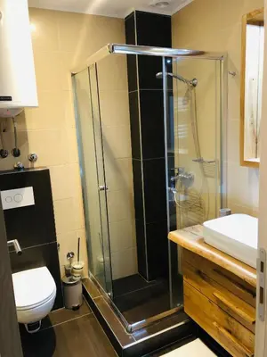 a bathroom with a shower with a toilet and a sink at Sunside Oak - 206 in Kopaonik