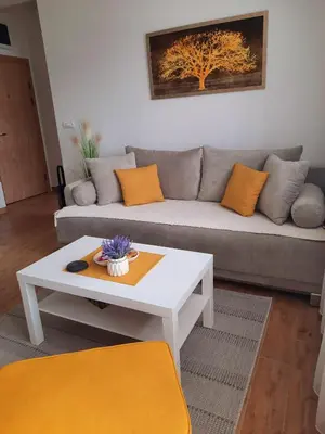 a living room with a couch and a coffee table at Bankovic Apartman in Vrnjačka Banja