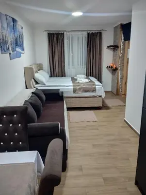a hotel room with two beds and a couch at Lela Kop in Kopaonik
