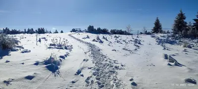 a snowy field with footprints in the snow at Apartman Studio Lux u Kraljevim Čardacima in Kopaonik