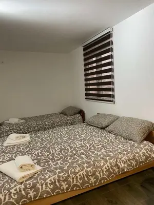 a bedroom with a bed and a window at Vila Nika in Crni Vrh