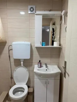 a small bathroom with a toilet and a sink at Vila Nika in Crni Vrh