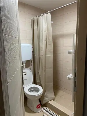 a small bathroom with a toilet and a shower at Vila Nika in Crni Vrh
