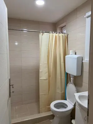 a bathroom with a toilet and a shower at Vila Nika in Crni Vrh