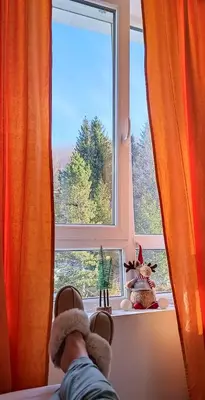 a man sitting in front of a window at Apartman Paunovi Čardaci sa garažnim mestom in Kopaonik