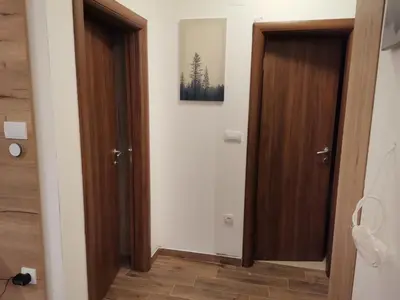 a hallway with two doors and a picture on the wall at Vila Montana Kopaonik Apartman 6 in Kopaonik