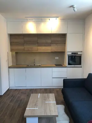 a kitchen with a couch and a table in a room at Vila Montana Kopaonik Apartman 6 in Kopaonik