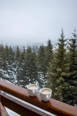 two cups of coffee sitting on a window sill at SUNČANI BREG RESORT & SPA apartment 14 Kopaonik in Kopaonik