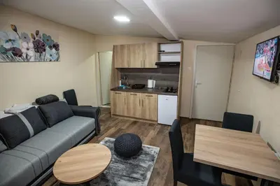 a living room with a couch and a table and a kitchen at Apartmani SP Jovanovic in Crni Vrh