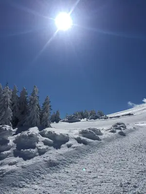 a snow covered field with the sun in the sky at GALA Kop Apartman in Kopaonik