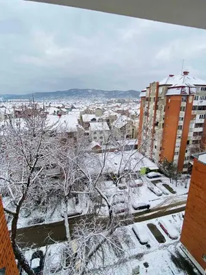 a view of a city with snow covered trees and buildings at Sofi Apartment Nis in Niš