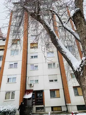 a snow covered building with a tree in front of it at Sofi Apartment Nis in Niš