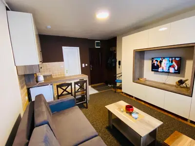 a living room with a couch and a tv on a wall at Sofi Apartment Nis in Niš