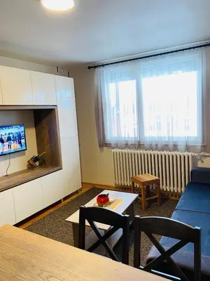a living room with a couch and a table and a tv at Sofi Apartment Nis in Niš