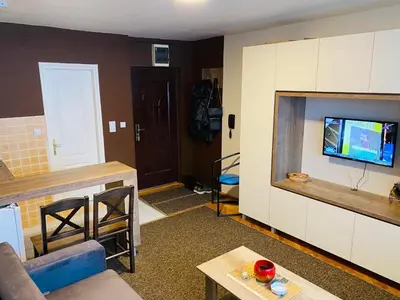 a living room with a couch and a tv on a wall at Sofi Apartment Nis in Niš