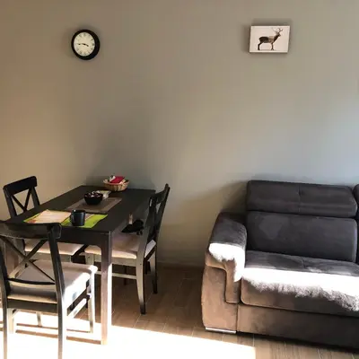 a living room with a couch and a table at Apartman 217 in Kopaonik