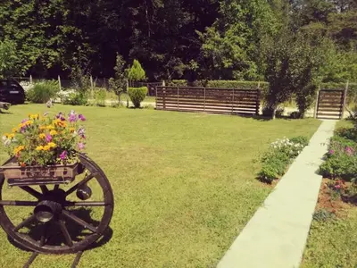 a wheelbarrow filled with flowers in a yard at 