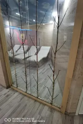 a room with a glass window with trees in it at Studio apartman p13 in Kopaonik