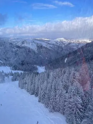 an aerial view of a snow covered mountain with trees at Studio apartman p13 in Kopaonik