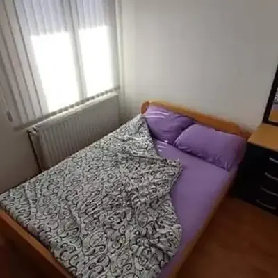 Apartman Ivanovic 4