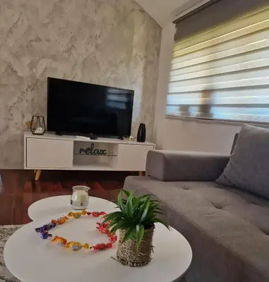 a living room with a couch and a tv at Apartman In Lux in Vrnjačka Banja