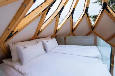 a white bed in a room with a roof at Armadillo Houses in Kopaonik