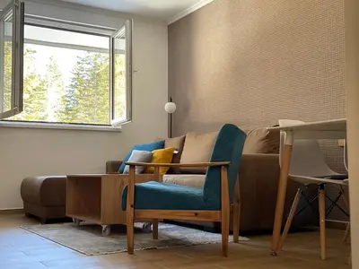 a living room with a couch and a window at Vili.Kop studio in Kopaonik
