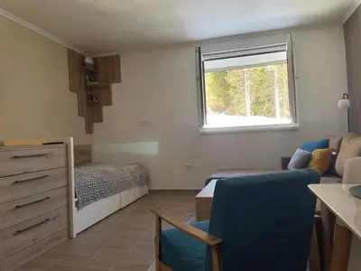 a small living room with a bed and a window at Vili.Kop studio in Kopaonik