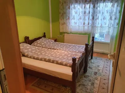 a bedroom with a bed in a room with a window at Smestaj Boki in Soko Banja
