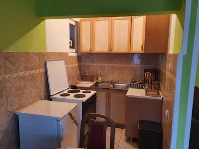 a small kitchen with a stove and a sink at Smestaj Boki in Soko Banja