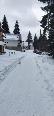 Gallery image of Vila Leni Kopaonik in Kopaonik