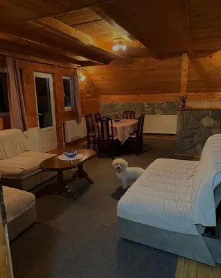Gallery image of Vila Leni Kopaonik in Kopaonik