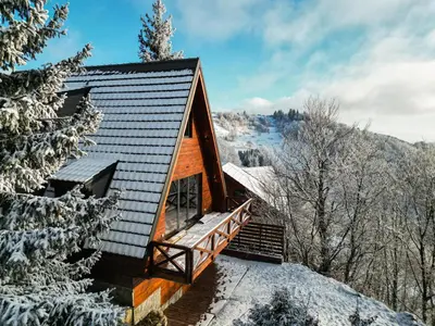 a cabin in the woods in the snow at Vista Mountain House in Kopaonik