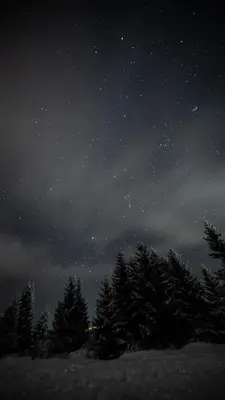 a starry night with a group of trees in a field at Vista Mountain House in Kopaonik