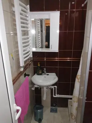 a small bathroom with a sink and a mirror at ORTODOKS in Brus