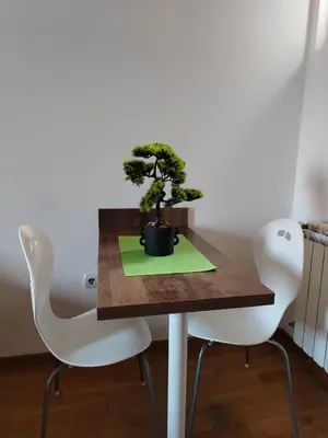 a table with two chairs and a bonsai tree on it at APARTMAN ANA in Niš