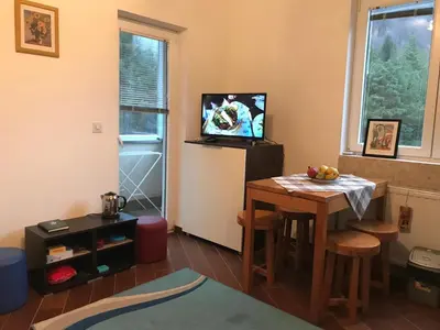 a living room with a table and a television at Studio-Apartman Dream018 in Brzeće