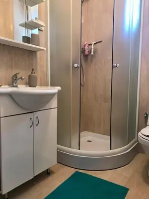 a bathroom with a shower and a sink and a toilet at Studio-Apartman Dream018 in Brzeće