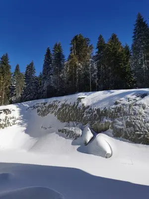 a snow covered hill with trees in the background at Kai Apartman in Kopaonik