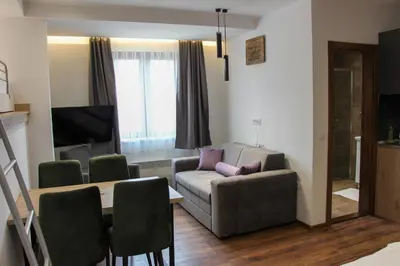 a living room with a couch and a table at Apartmani Sorak Kopaonik, Studio Apartman A10 in Kopaonik