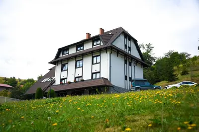a large white house on a hill with a field of flowers at Villa Mramor in Brzeće