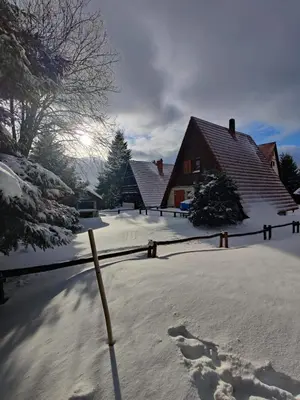 a yard covered in snow with a house at Villa Teodora in Kopaonik