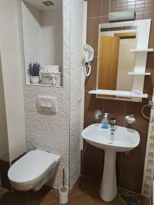 a small bathroom with a toilet and a sink at Happy Moments in Vrnjačka Banja