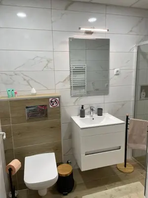 a bathroom with a sink and a toilet and a mirror at DREAM house in Paraćin