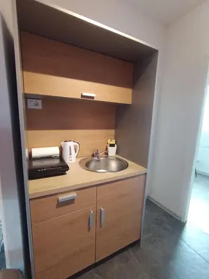 a bathroom with a sink and a counter top at My Place Apartmani in Krivi Vir
