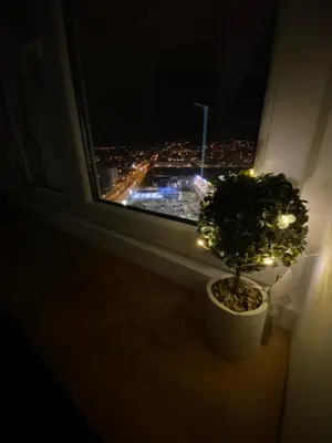a potted plant in a window with a view of a city at Apartman Bonaca in Niš