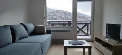 a living room with a couch and a large window at Apartman Mela Kop 11 in Kopaonik