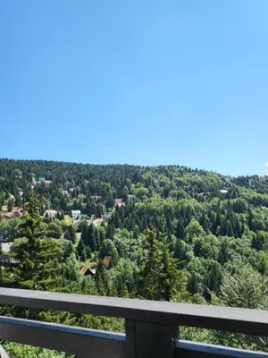 a view of the forest from the balcony of a house at Apartman Mela Kop 11 in Kopaonik