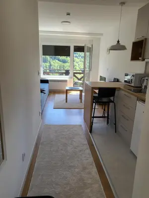 a kitchen with a counter and a table in a room at Apartman Mela Kop 11 in Kopaonik