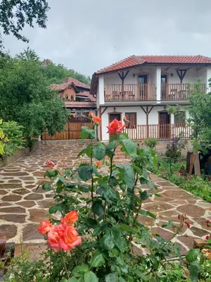 a garden with orange roses in front of a house at Golemi kamik Pirot Vlasi in Pirot